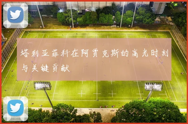 塔利亚菲科在阿贾克斯的高光时刻与关键贡献