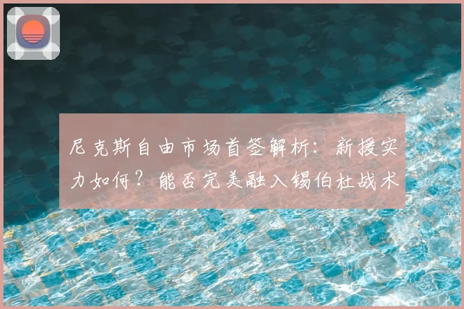 尼克斯自由市场首签解析:新援实力如何?能否完美融入锡伯杜战术体系?